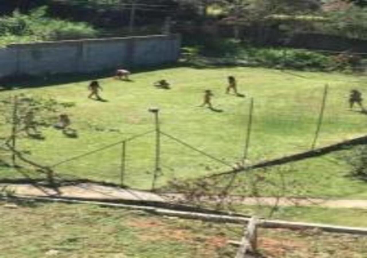 Casa Acolhedora Com Lazer E Espaco Gourmet Petrópolis Eksteriør billede